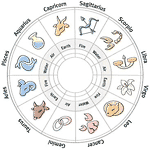 Test características de los signos